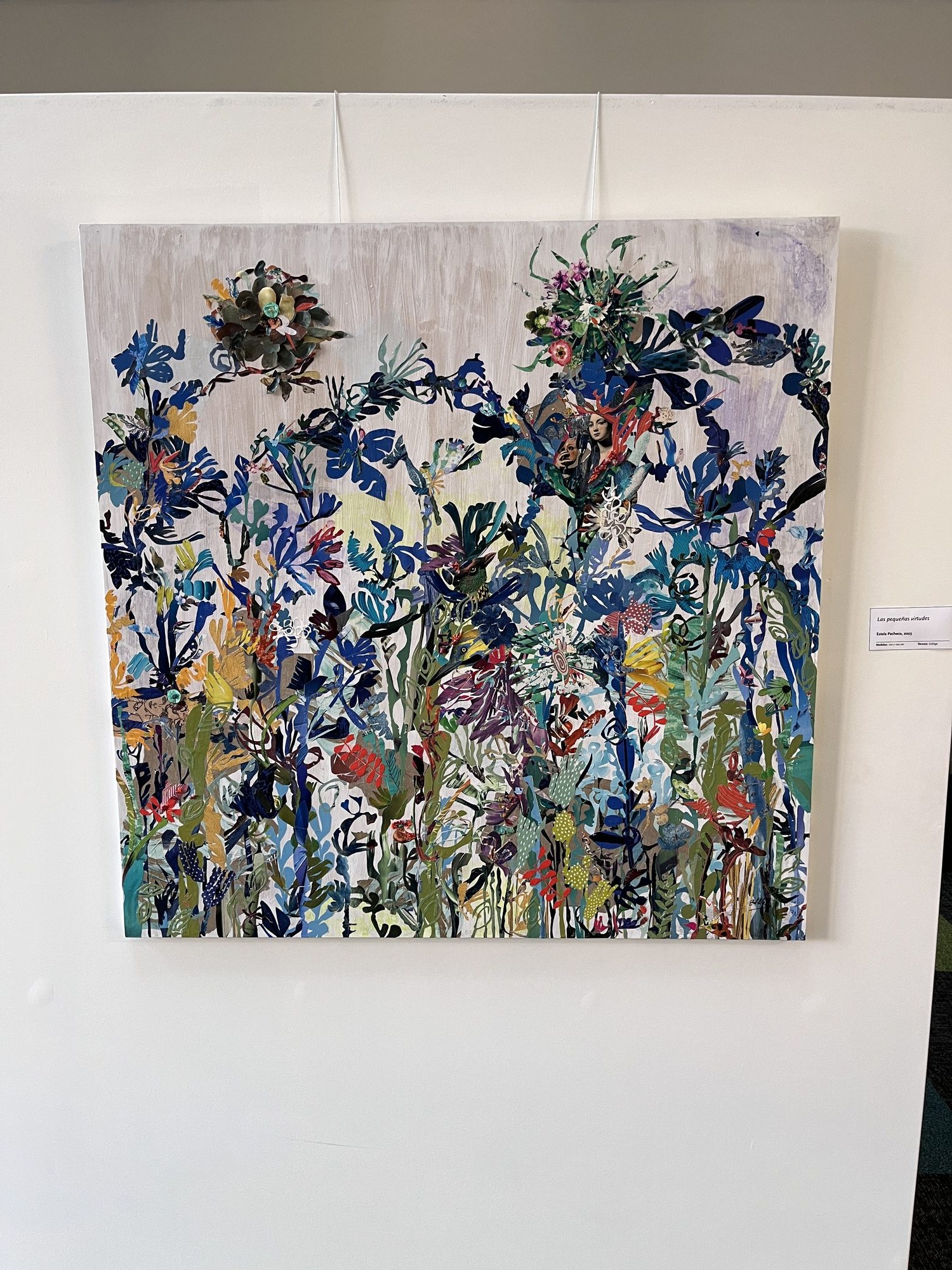 Registro visual de la trayectoria artística de Estela Pacheco